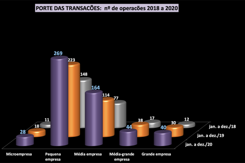 Transacões de TI em 2020, por portes
