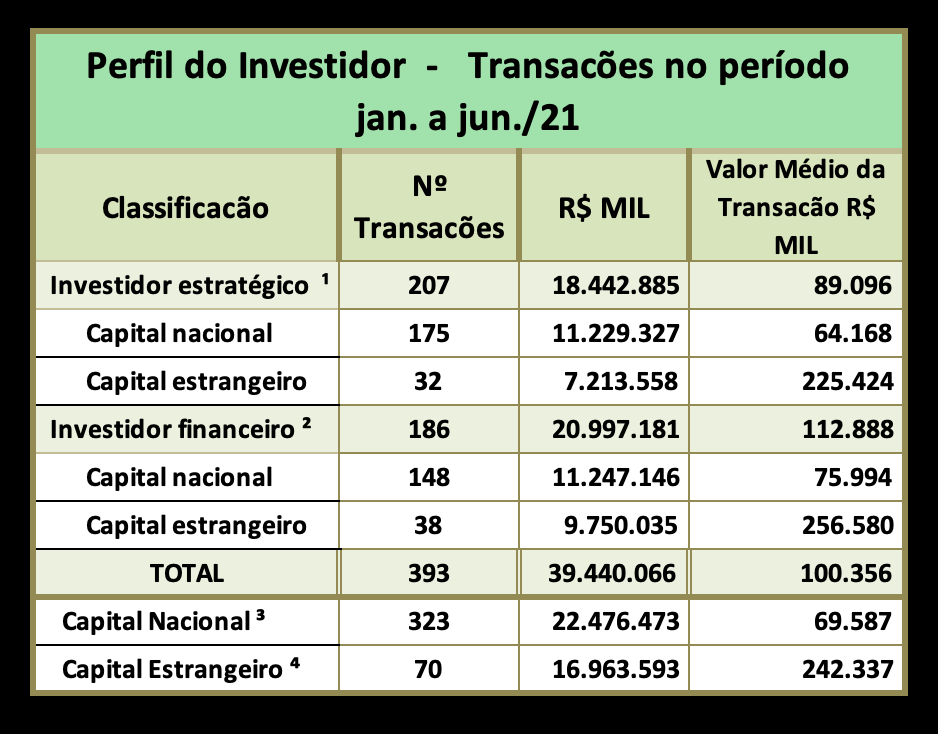 Perfil do Investidor M&A TI - jun/2021