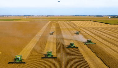Máquinas colheitadores