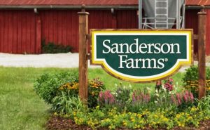 Fusão entre Sanderson Farms e Wayne Farms