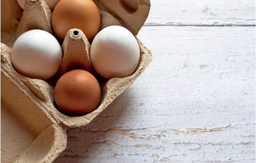 Um bilhão de ovos: Katayama Alimentos