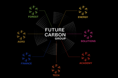De olho no bilionário mercado de créditos de carbono