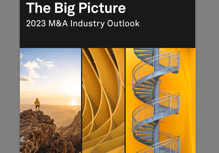 M&A The Big Picture