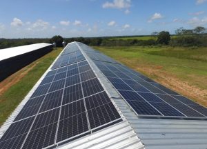 Francesa Albioma anuncia intenção de comprar usinas solares