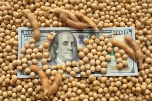 Agroboard capta R$1 8 milhão em campanha de crowdfunding pela Arara Seed