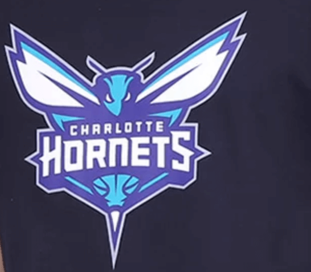 Charlotte Hornets basquete