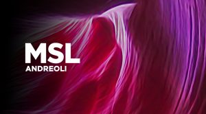 Publicis vende participação na MSL Andreoli