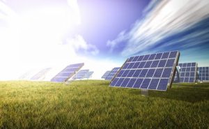 Voltalia adquire central solar de 60 megawatts nos Países Baixos