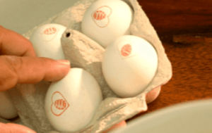 JBS (JBSS3) negocia compra de maior produtora de ovos da América do Sul