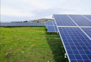 Raízen vende 31 projetos de usinas de geração solar